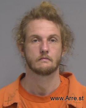 Brandon Michael Dickson Mugshot