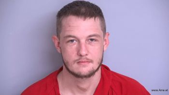 Brandon Michael Dickson Mugshot