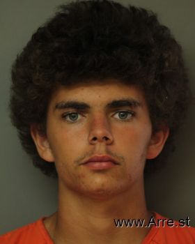 Brandon Paul Griffith Mugshot