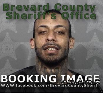 Brandon Damone Haynes Mugshot