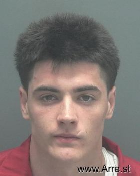 Brandon Christian Hermann Mugshot