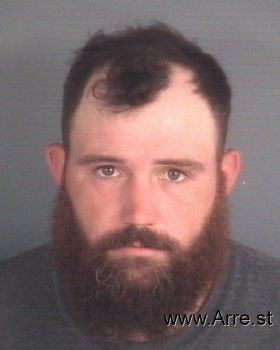 Brandon Michael Lewis Hodges Mugshot