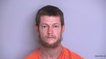 Brandon Adrian Nelson Mugshot