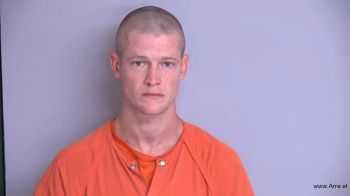 Brandon Adrian Nelson Mugshot