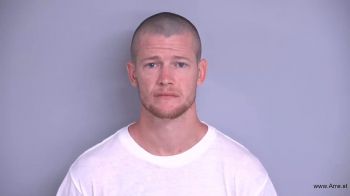 Brandon Adrian Nelson Mugshot