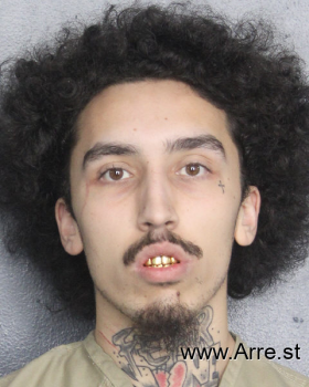 Brandon Nicholas Paul Mugshot