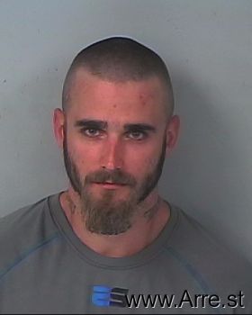 Brandon James Seguine Mugshot