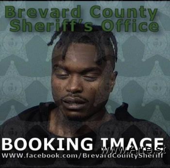 Brandon Michael Ward Mugshot