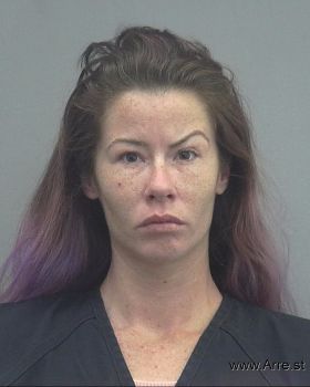 Brandy Lee Johnson Mugshot