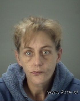 Brandy  Lawson Mugshot