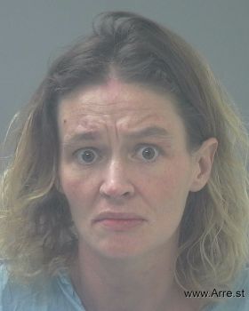 Brandy Lynn Nelson Mugshot