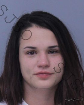 Breanne Lane Collins Mugshot