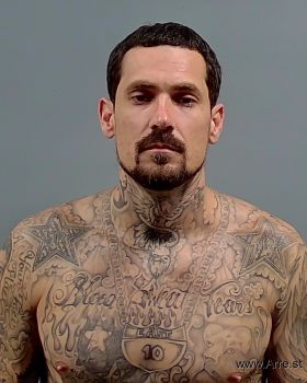 Brian  Andrews Mugshot