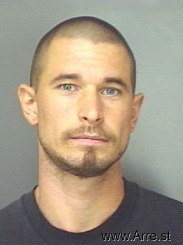 Brian  Davidson Mugshot