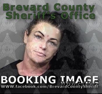 Brianna Lynne Seeley Mugshot