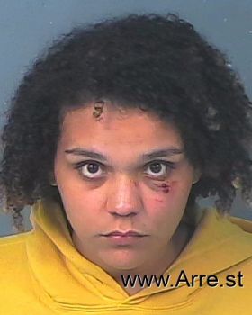 Brianna N Williams Mugshot