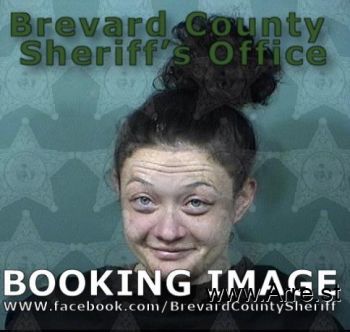 Brittany Ann Hamilton Mugshot