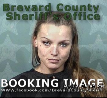 Brittany Nichole Hartlein-townsend Mugshot