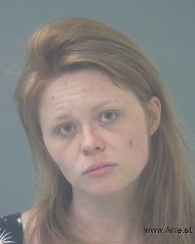 Brittany Lee Johnston Mugshot