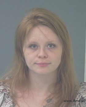 Brittany Lee Johnston Mugshot