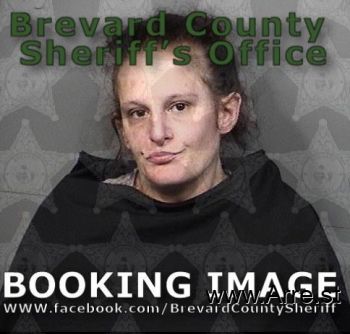 Brittany Nicole Pruitt Mugshot