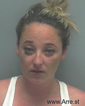 Brittany Ann Robinson Mugshot