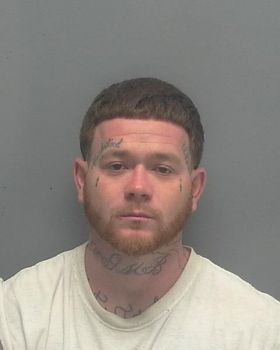 Bryan  Lewis Mugshot