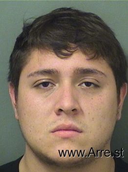 Bryan Camilo Maury Mugshot