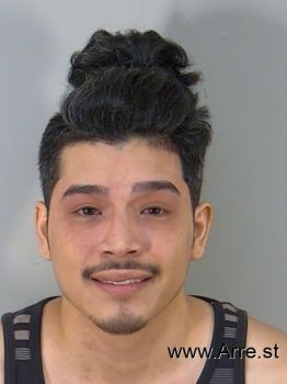 Bryan  Perez Mugshot