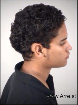 Bryan  Torres-santiago Mugshot