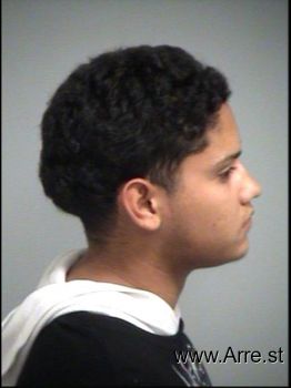 Bryan  Torres-santiago Mugshot