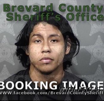 Bryant Manuel Fernandez-pizango Mugshot