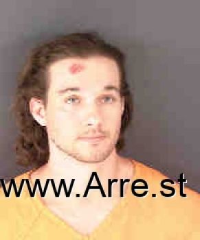 Christian Marins Hamilton Mugshot