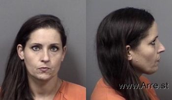 Christina Lee Link Mugshot