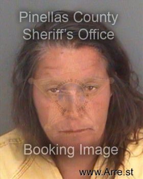 Christine Ann Hicks Mugshot