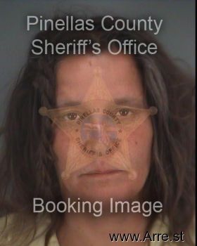 Christine Ann Hicks Mugshot