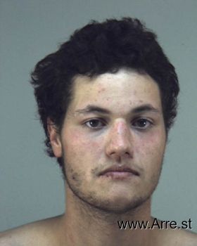 Caleb Michael Wilking Mugshot