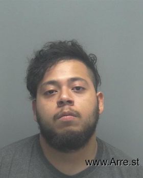 Carlos Alberto Delgado-cruz Mugshot