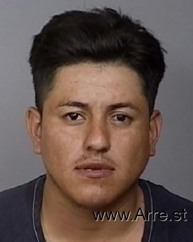 Carlos E Delgado-leon Mugshot