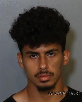 Carlos Gabriel Diaz Mugshot