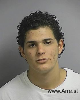 Carlos Emil Diaz-torrens Mugshot