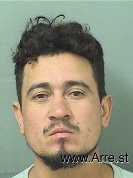 Carlos Enrique Navarrohernandez Mugshot