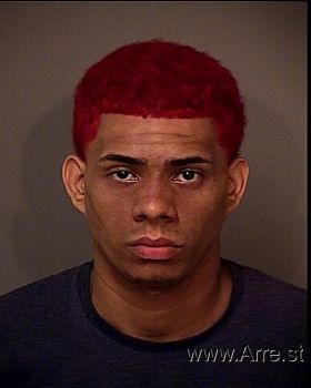 Carlos Javier Ortiz-rosado Mugshot