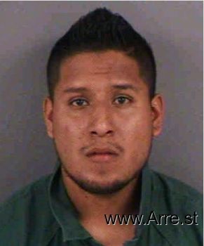 Carlos  Ortizloaeza Mugshot