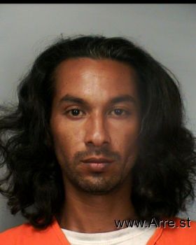 Carlos  Villarreal Mugshot