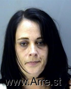 Casey Sue Rodgers Mugshot