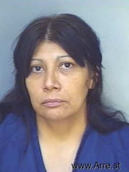 Catherine Sanchez Brown Mugshot