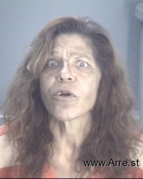 Cathy Ann Hartman Mugshot