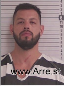 Cesar Andres Guerrero-teixeira Mugshot