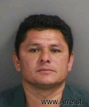 Cesar  Hernandez Mugshot